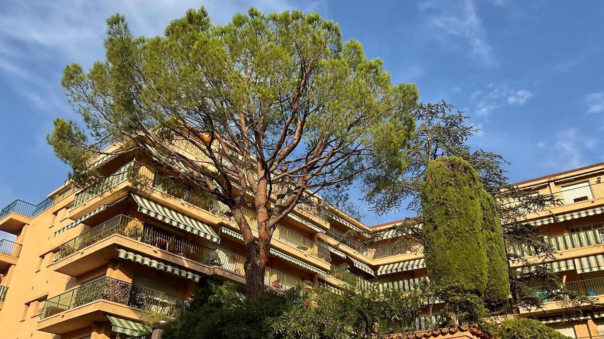 Lympia - One Bedroom Apartment Near The Port 尼斯