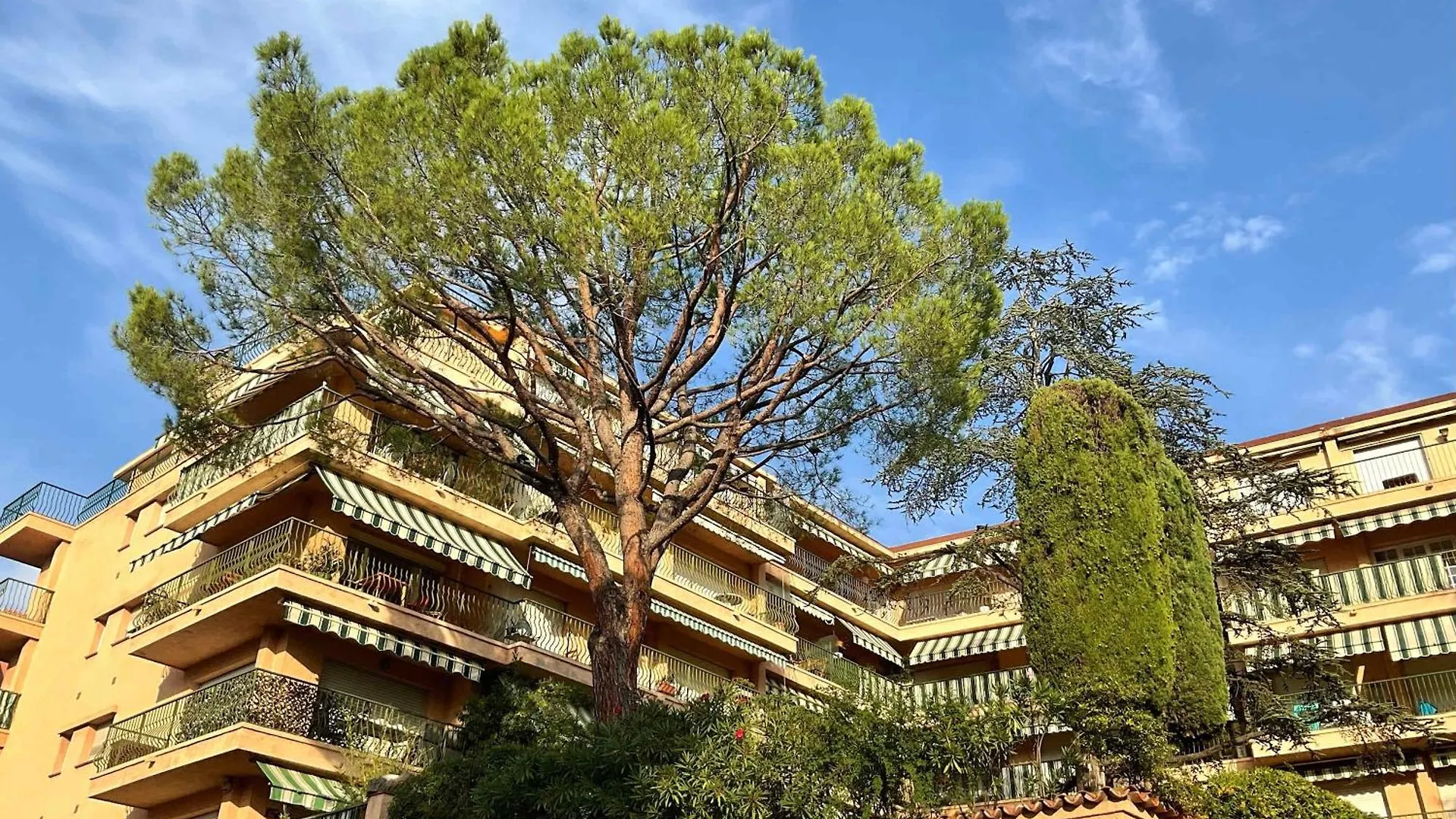 Lympia - One Bedroom Apartment Near The Port Nice 0*,